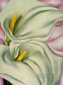 two calla lilies on pink Georgia Okeeffe American modernism Precisionism